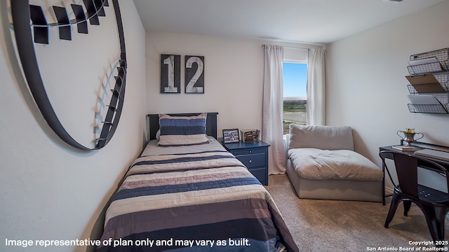 731 Garnier Pass, San Antonio, TX 78221 - bedroom featuring carpet flooring
