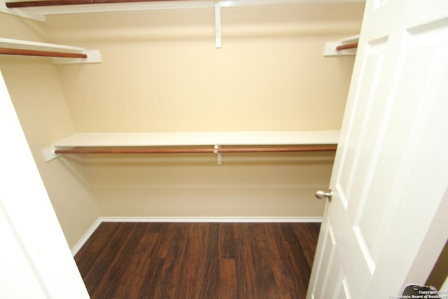 walk in closet featuring dark wood-type flooring