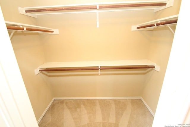 spacious closet with carpet