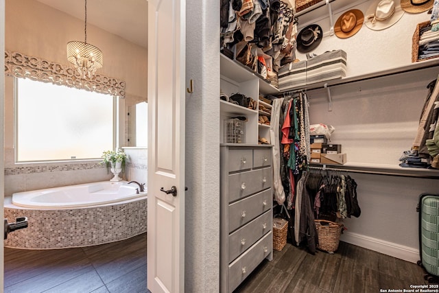 walk in closet featuring dark wood-type flooring