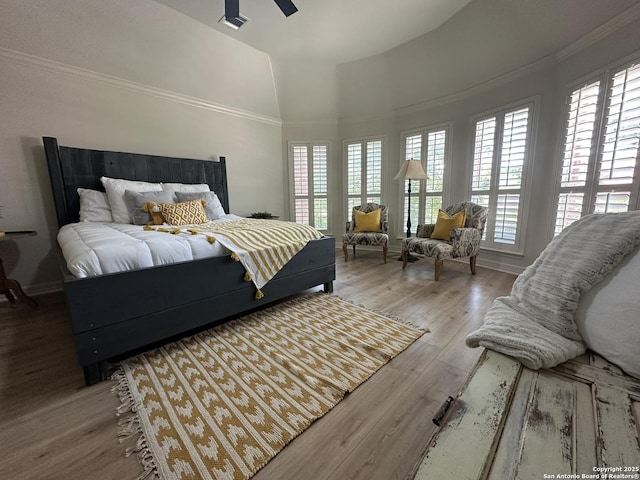 23407 Treemont Park, San Antonio, TX 78261 - bedroom with wood finished floors, crown molding, ceiling fan, and lofted ceiling