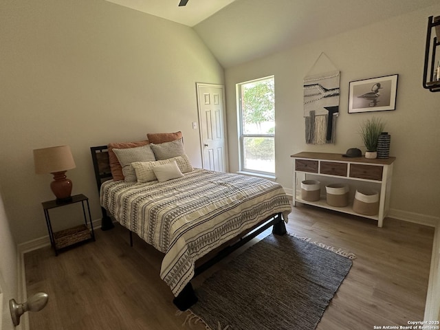 23407 Treemont Park, San Antonio, TX 78261 - bedroom with wood finished floors, vaulted ceiling, and a ceiling fan