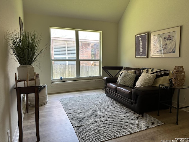 23407 Treemont Park, San Antonio, TX 78261 - living room featuring lofted ceiling and wood finished floors