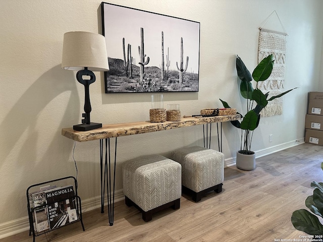 23407 Treemont Park, San Antonio, TX 78261 - detailed view of wood finished floors
