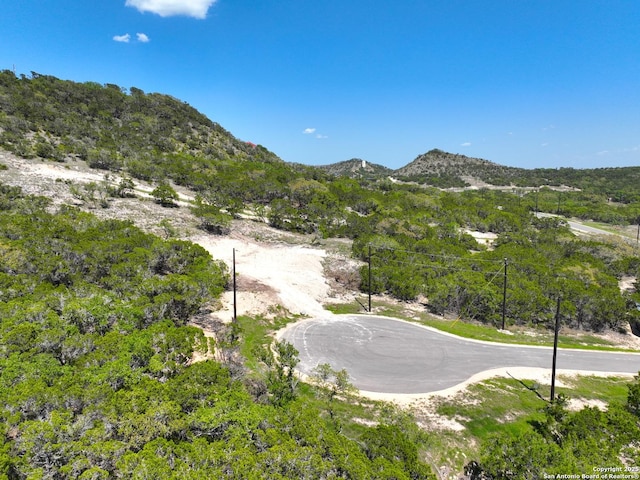 420 Sendera Hls, Canyon Lake, TX 78133 - mountain view