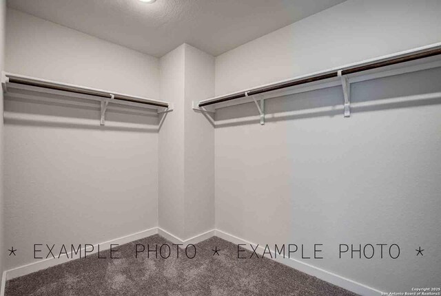 4731 Sahara Vlys, San Antonio, TX 78222 - spacious closet with carpet flooring