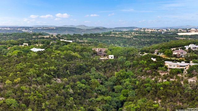 drone / aerial view featuring a view of trees and a mountain view