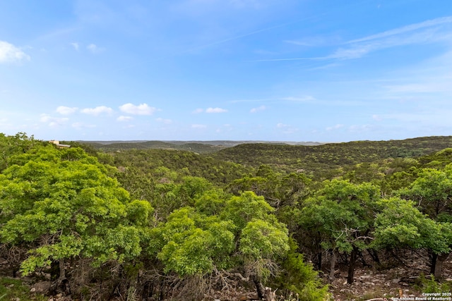 view of nature with a wooded view