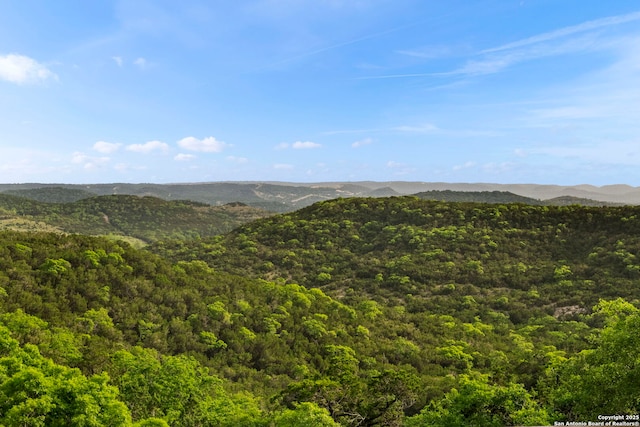 property view of mountains featuring a forest view