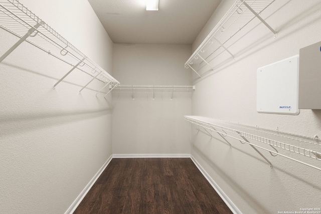 walk in closet featuring dark wood-type flooring