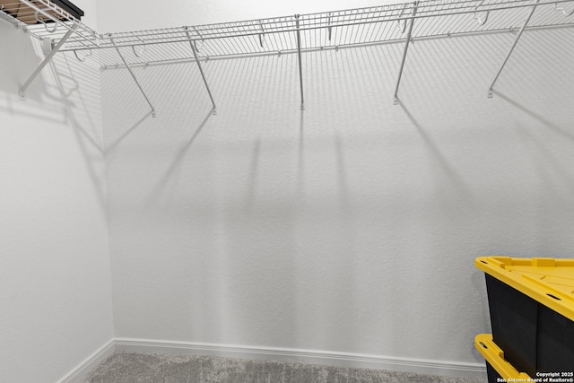 7415 Cheetah Pass, San Antonio, TX 78253 - walk in closet featuring carpet flooring