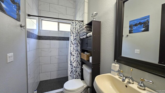 bathroom with toilet, a stall shower, a textured wall, and a sink