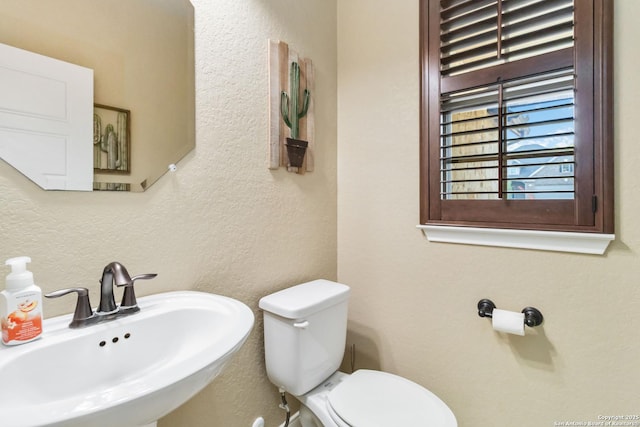500 Pecan Farms, New Braunfels, TX 78130 - half bath with toilet, a textured wall, and a sink