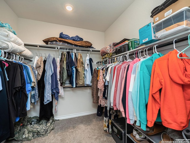 6810 Courante Waltz, San Antonio, TX 78252 - walk in closet with carpet floors