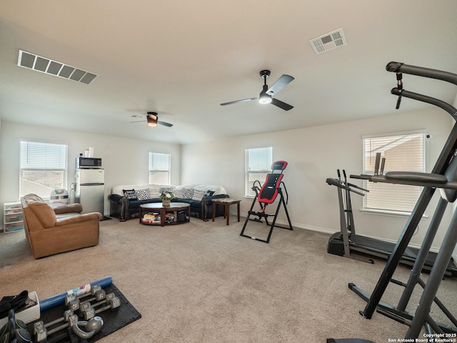 6810 Courante Waltz, San Antonio, TX 78252 - workout area with carpet, visible vents, baseboards, and a ceiling fan