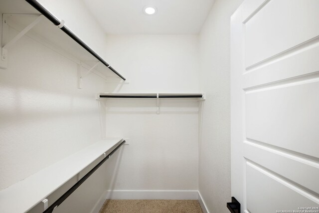 1019 S Hackberry, San Antonio, TX 78210 - walk in closet with light colored carpet
