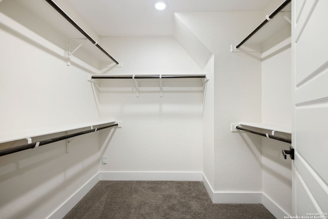 1019 S Hackberry, San Antonio, TX 78210 - walk in closet featuring dark carpet