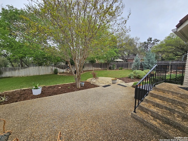 view of yard with a patio area and a fenced backyard