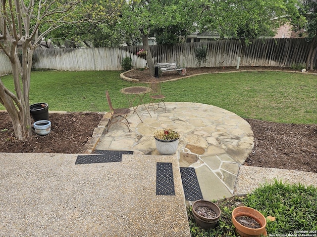 view of yard with a fenced backyard and a patio