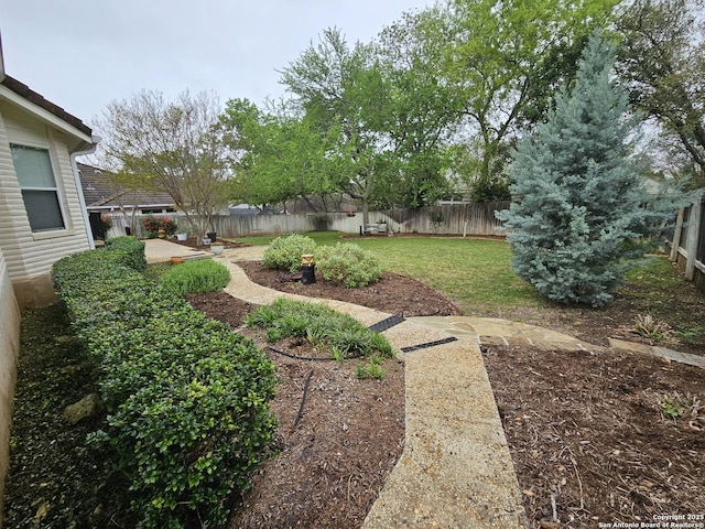 view of yard with a fenced backyard and a patio