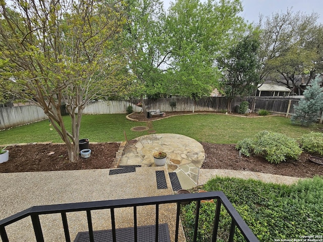 view of yard featuring a patio and a fenced backyard