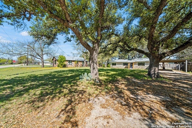 view of yard