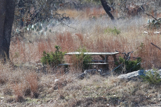 1844 Reeh Rd, Fredericksburg, TX 78624 - view of yard