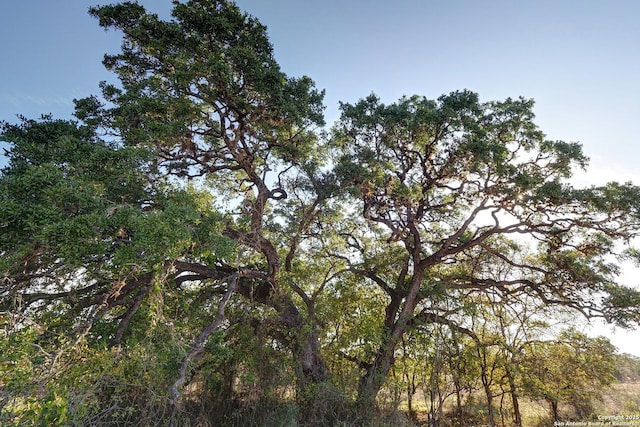 1913 Luna St, New Braunfels, TX 78132 - view of landscape