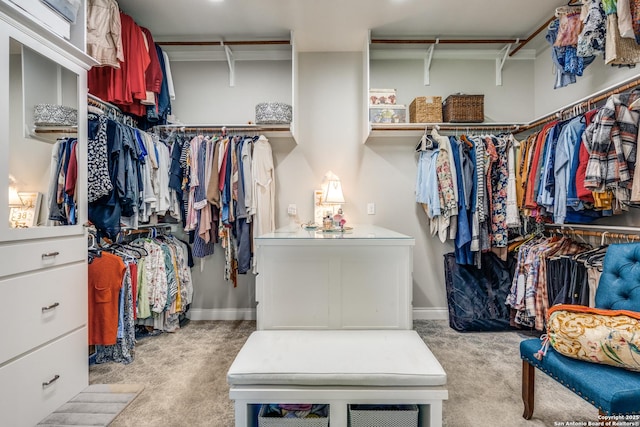 spacious closet with carpet