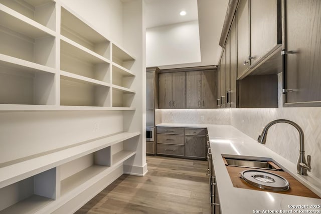 pantry with a sink