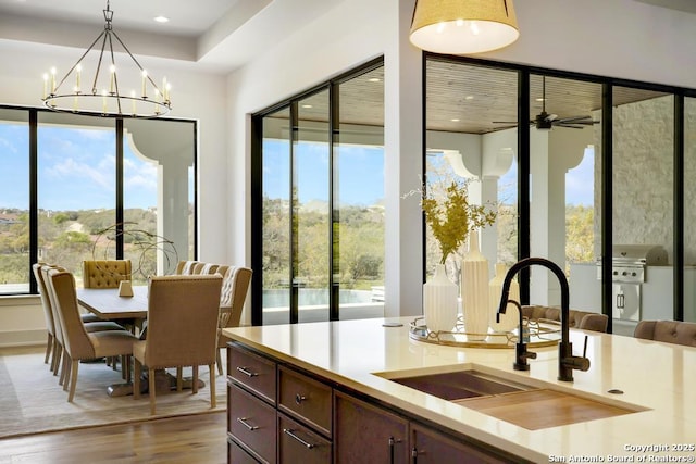 kitchen featuring plenty of natural light, a sink, light countertops, wood finished floors, and pendant lighting