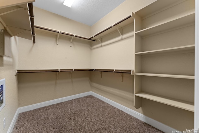 14047 Pikesdale, San Antonio, TX 78253 - spacious closet featuring carpet floors