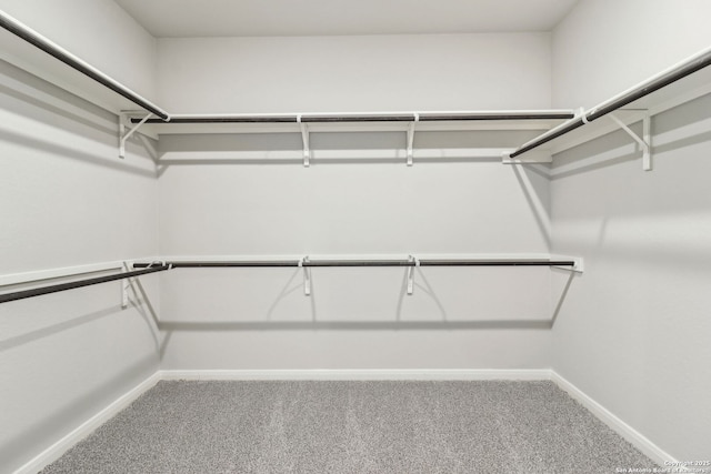 18107 Ansley, San Antonio, TX 78247 - walk in closet featuring carpet floors