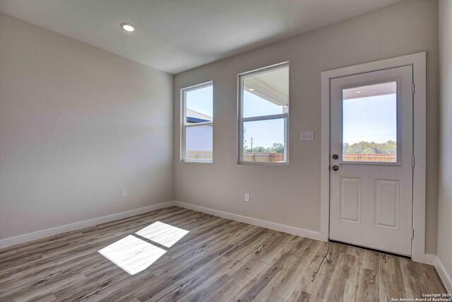 entryway featuring baseboards, light wood finished floors, and plenty of natural light