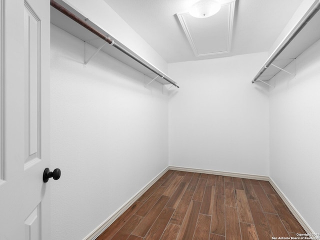 601 Wildflower Dr, Lytle, TX 78052 - walk in closet featuring attic access and dark wood-style flooring
