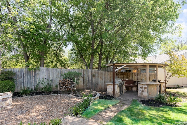 view of yard with an outdoor kitchen and a fenced backyard