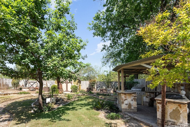 view of yard with exterior kitchen, a patio area, and a fenced backyard