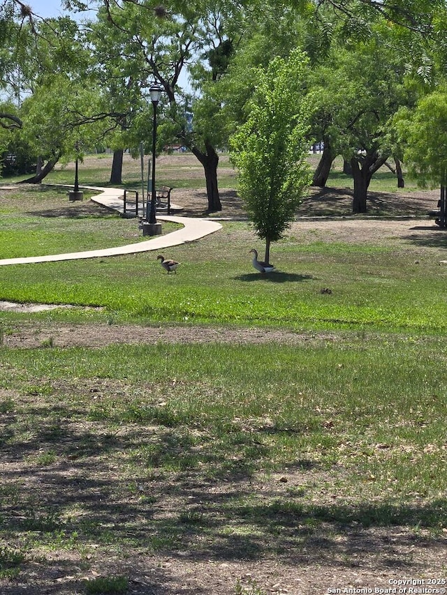 5906 Brook Fls, Windcrest, TX 78239