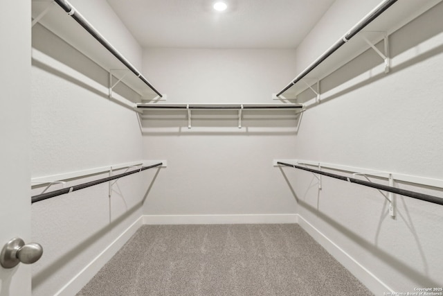 17110 Autry Fls, San Antonio, TX 78247 - walk in closet featuring carpet