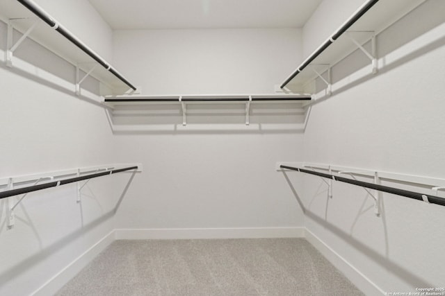 17114 Autry Fls, San Antonio, TX 78247 - spacious closet with light colored carpet