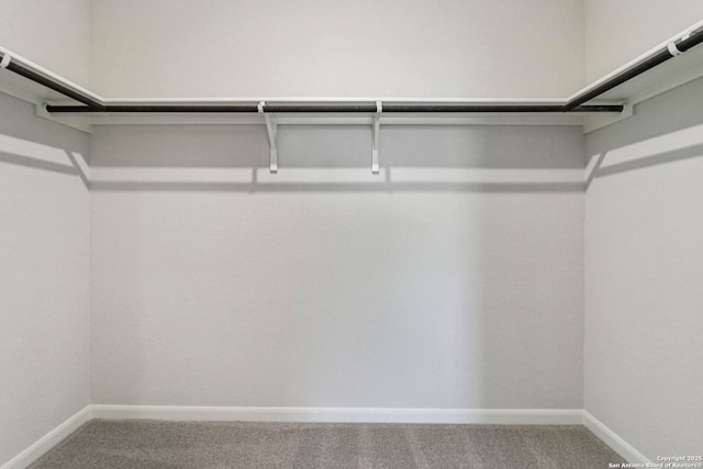 11534 Cottage Pt, San Antonio, TX 78254 - spacious closet with carpet