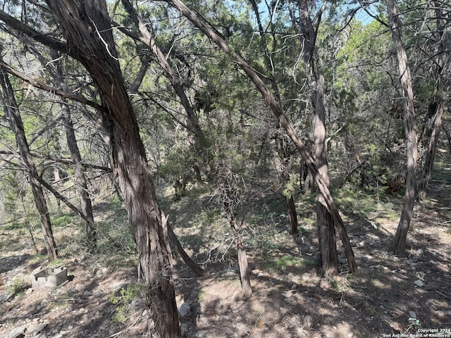 365 Cedar Dr, Canyon Lake, TX 78133
