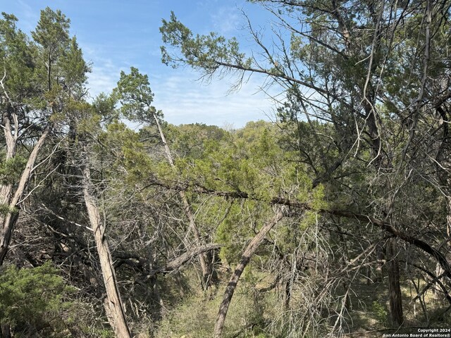 365 Cedar Dr, Canyon Lake, TX 78133