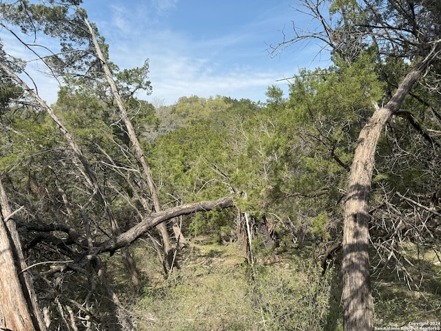 365 Cedar Dr, Canyon Lake, TX 78133