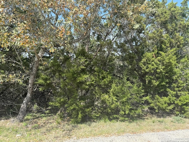 413 Cedar Dr, Canyon Lake, TX 78133