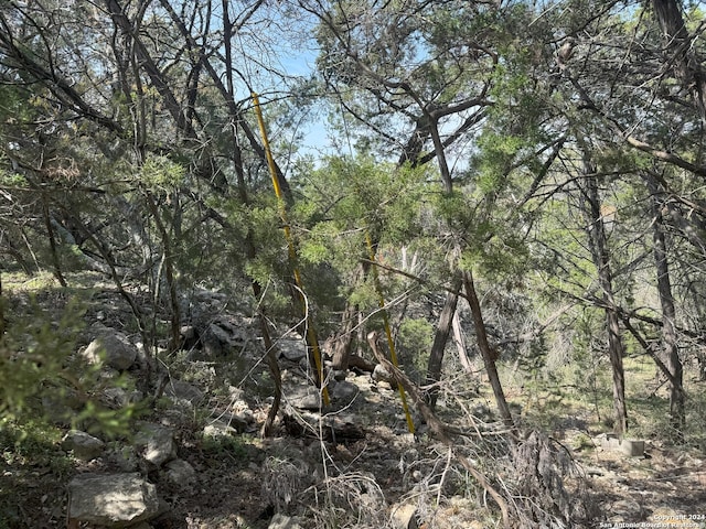 413 Cedar Dr, Canyon Lake, TX 78133