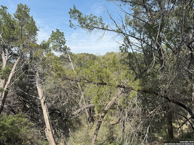 413 Cedar Dr, Canyon Lake, TX 78133