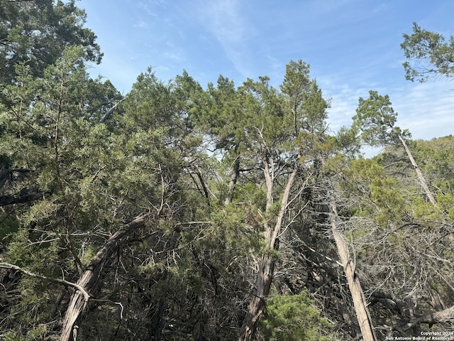 413 Cedar Dr, Canyon Lake, TX 78133