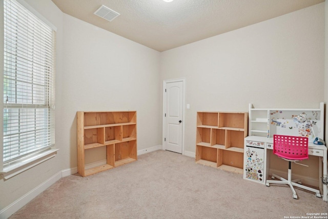 misc room featuring carpet floors, visible vents, and plenty of natural light