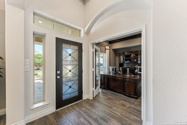 581 Vale Ct, New Braunfels, TX 78132 - foyer with a wealth of natural light, dark wood-type flooring, and baseboards